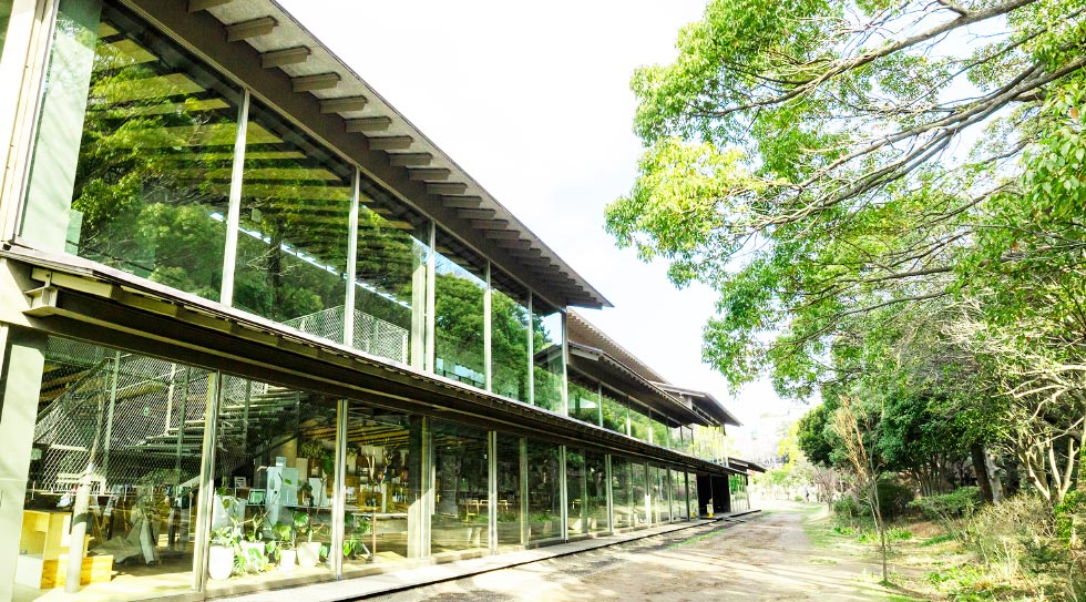 田園調布せせらぎ公園