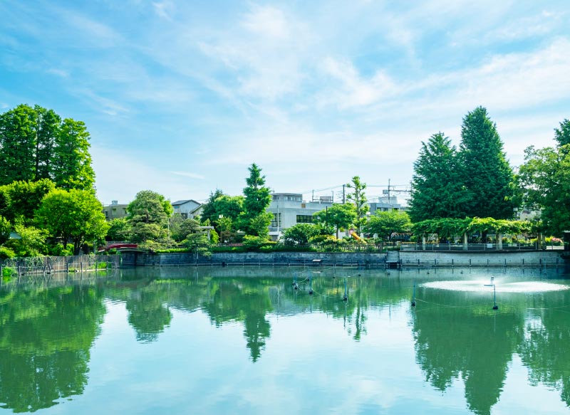 碑文谷公園