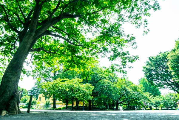 下馬中央公園